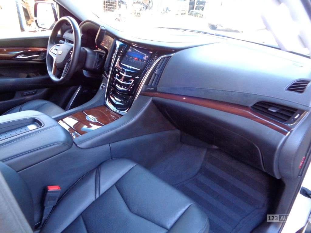 Cadillac Escalade, 2015 - pohled č. 22