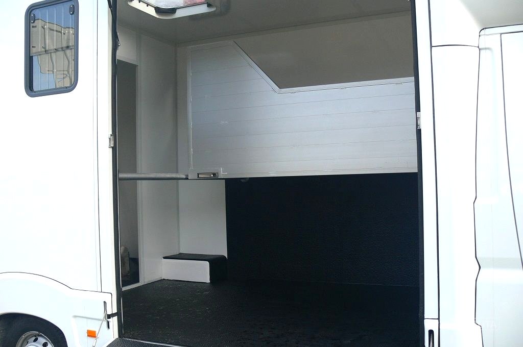 Fiat Ducato, 2020 - pohled č. 4