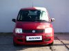 Fiat Panda, 2008 - pohled č. 2