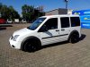 Ford Tourneo Connect, 2011 - pohled č. 3