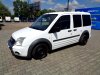 Ford Tourneo Connect, 2011 - pohled č. 3