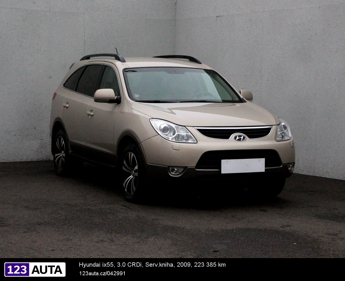 Hyundai ix55, 2009 - celkový pohled