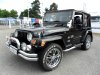 Jeep Wrangler, 2003 - pohled č. 10