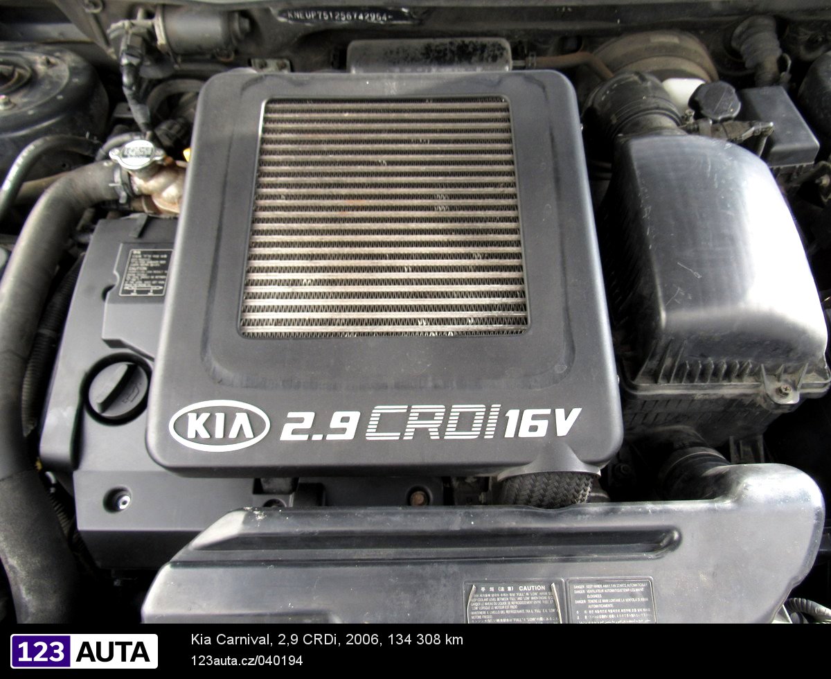 Kia Carnival, 2006 - pohled č. 9