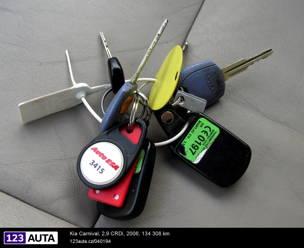 Kia Carnival, 2006 - pohled č. 25