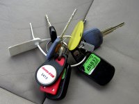 Kia Carnival, 2006 - pohled č. 25