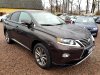 Lexus RX 450h, 2014 - pohled č. 3