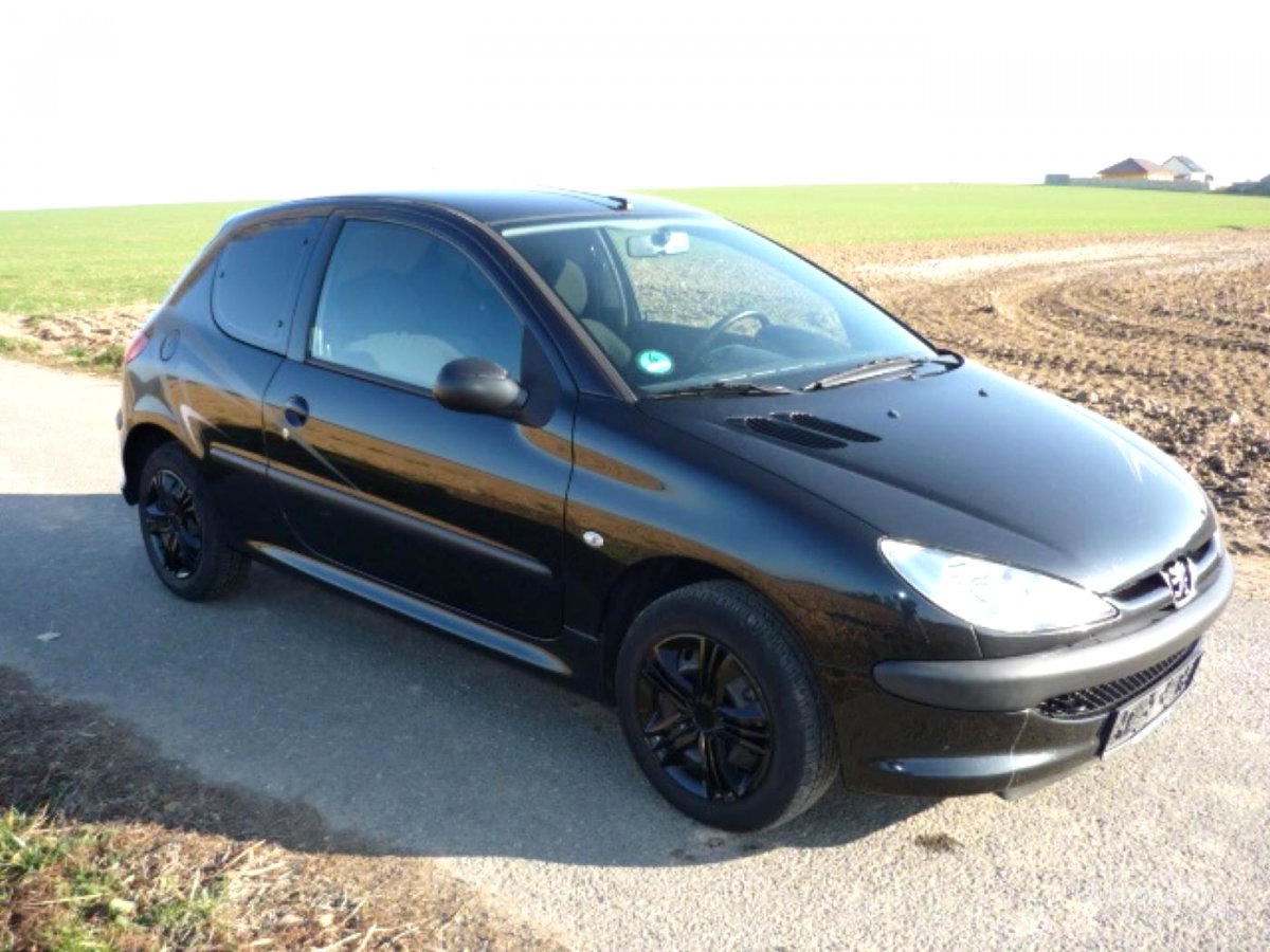 Peugeot 206, 2005 - celkový pohled