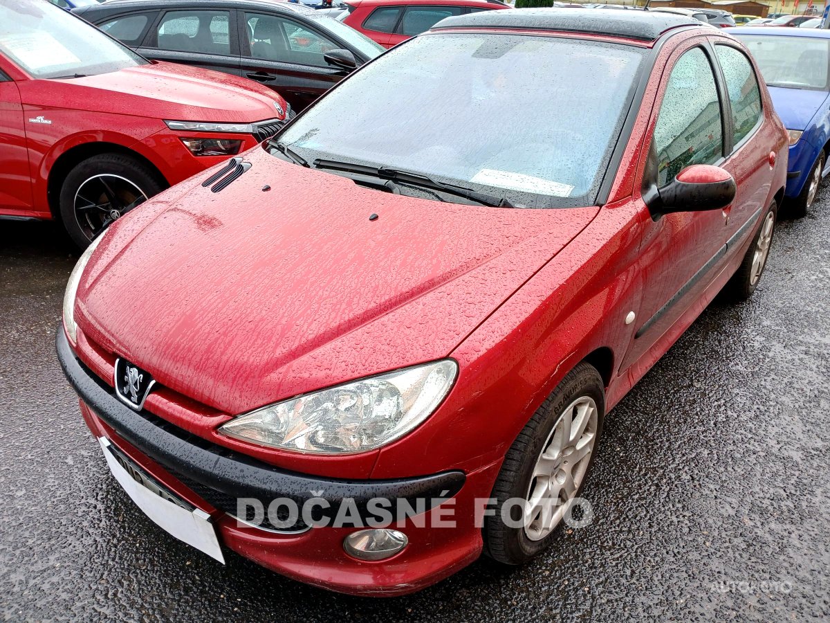 Peugeot 206, 2004 - celkový pohled