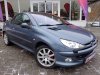 Peugeot 206, 2005 - celkový pohled