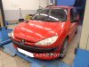 Peugeot 206, 2003 - celkový pohled