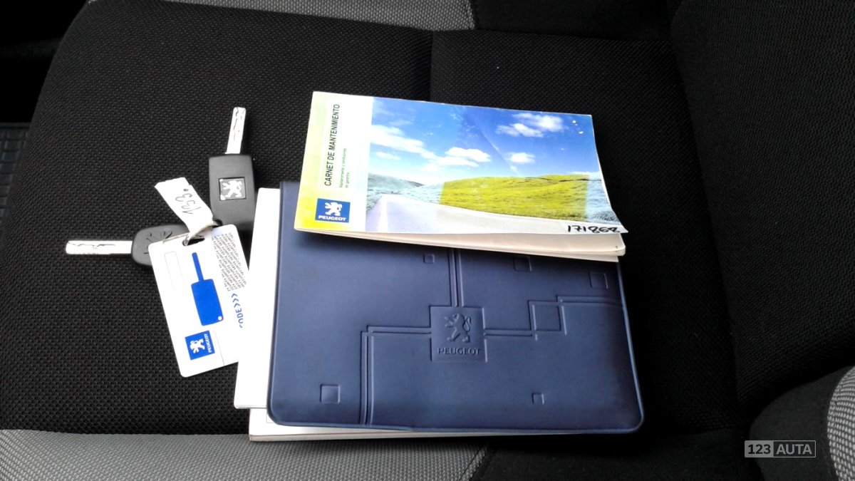 Peugeot 207, 2007 - pohled č. 28