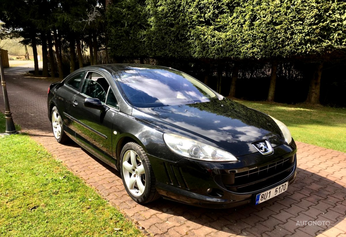 Peugeot 407, 2006 - celkový pohled