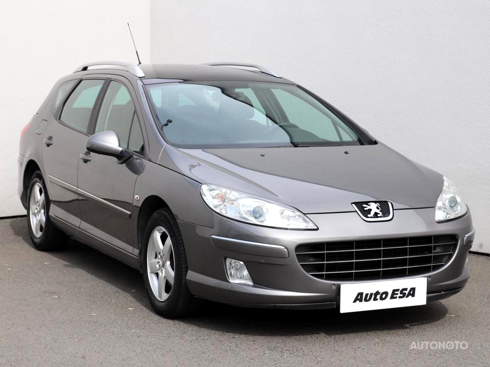 Peugeot 407, 2008 - celkový pohled