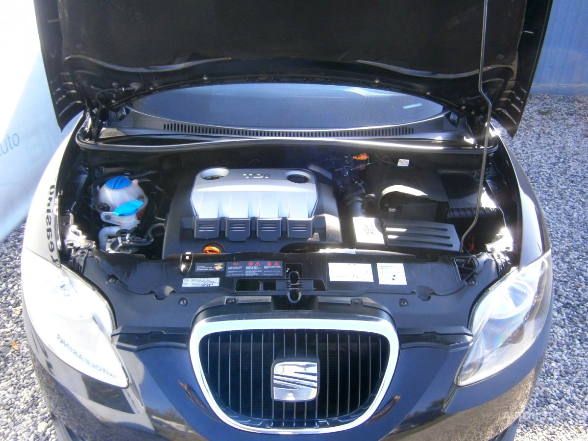 Seat Altea, 2008 - pohled č. 7