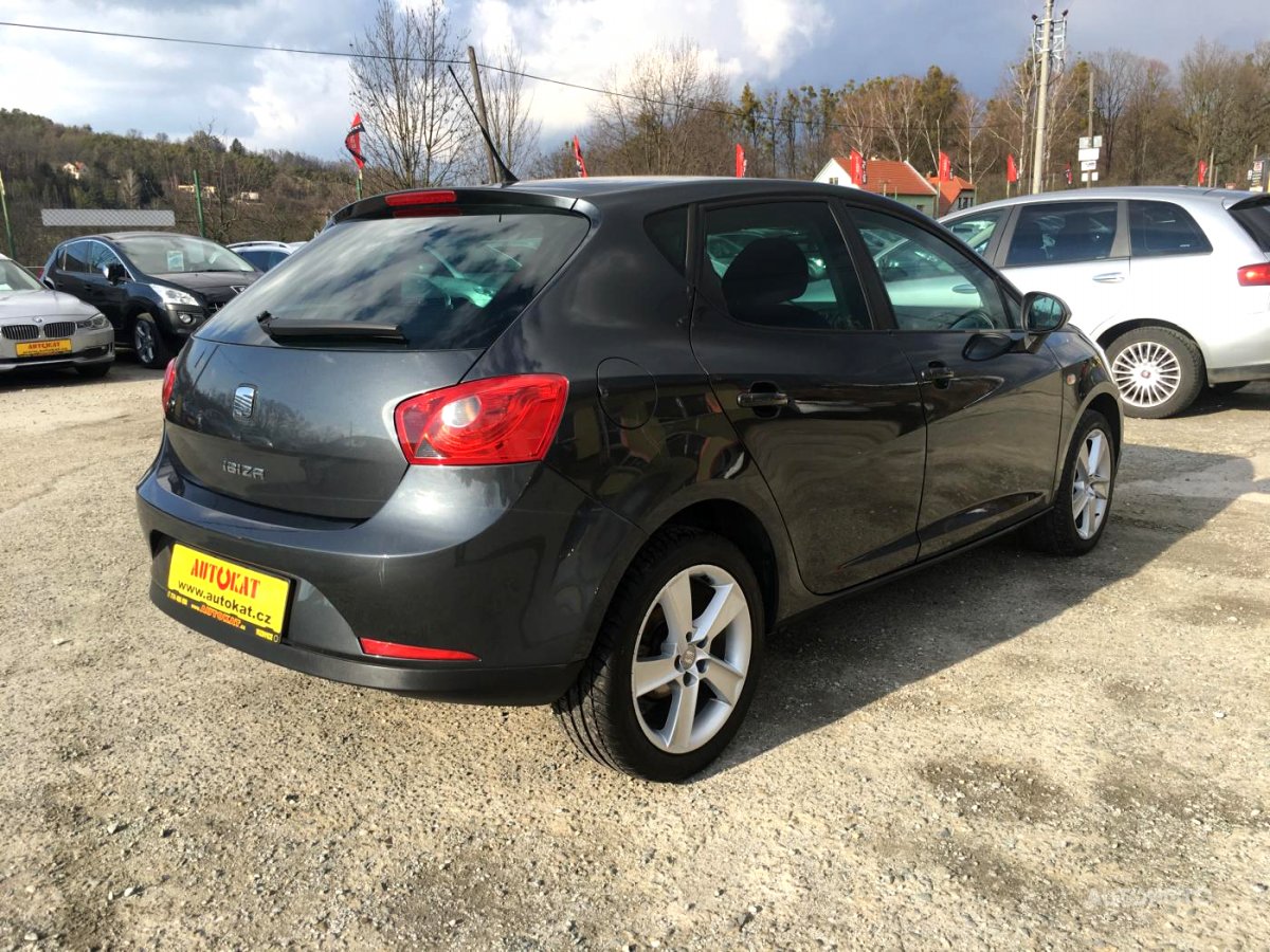 Seat Ibiza, 2010 - pohled č. 3