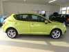 Seat Ibiza, 2009 - pohled č. 8