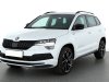 Škoda Karoq, 2021 - pohled č. 3
