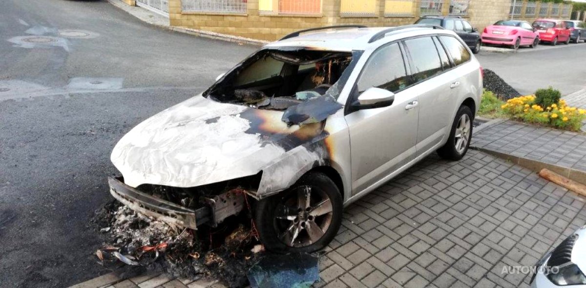 Škoda Octavia, 2017 - pohled č. 2