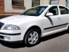 Škoda Octavia, 2008 - pohled č. 5