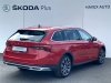 Škoda Octavia, 2021 - pohled č. 2