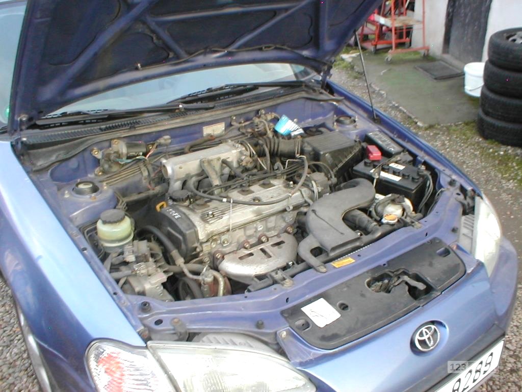 Toyota Paseo, 1996 - pohled č. 13